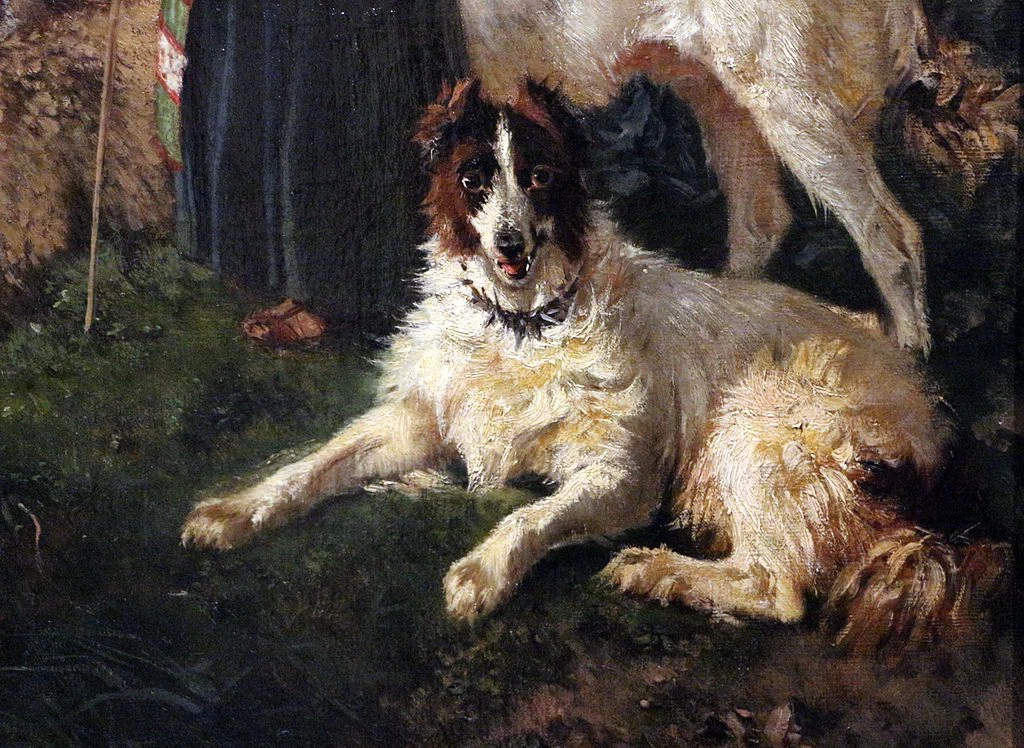 Pastorella - dettaglio
